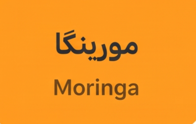 مورینگا امو